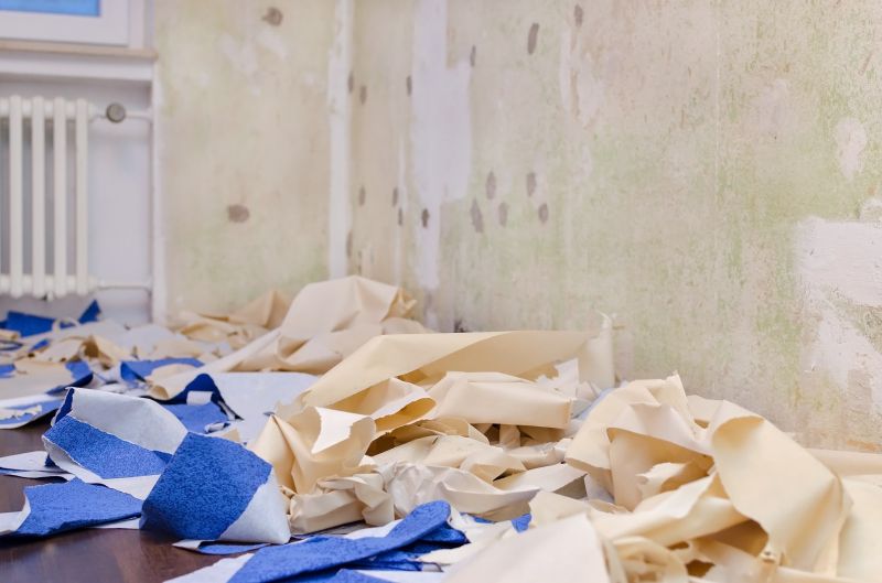 Best Wallpaper Removal Contractors in Elk River, MN